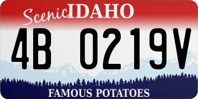 ID license plate 4B0219V