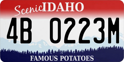 ID license plate 4B0223M
