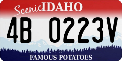 ID license plate 4B0223V