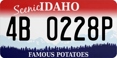 ID license plate 4B0228P