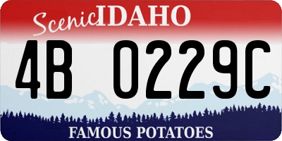 ID license plate 4B0229C