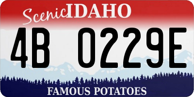 ID license plate 4B0229E