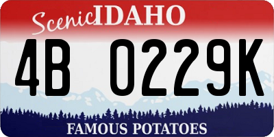ID license plate 4B0229K