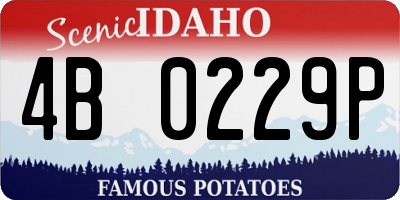 ID license plate 4B0229P