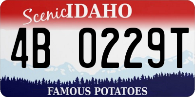 ID license plate 4B0229T