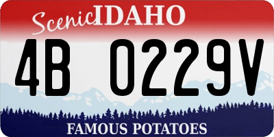 ID license plate 4B0229V