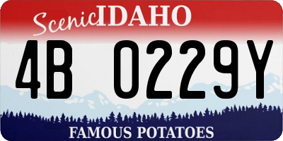 ID license plate 4B0229Y