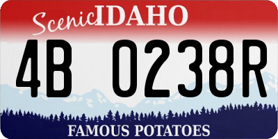 ID license plate 4B0238R