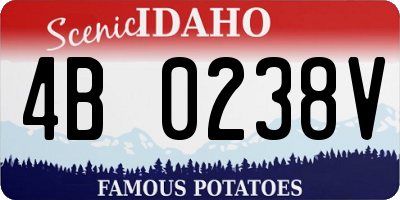 ID license plate 4B0238V