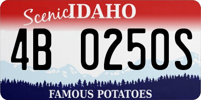 ID license plate 4B0250S