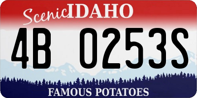 ID license plate 4B0253S