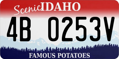 ID license plate 4B0253V