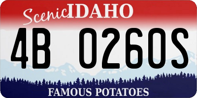ID license plate 4B0260S