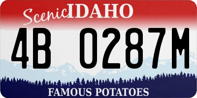 ID license plate 4B0287M