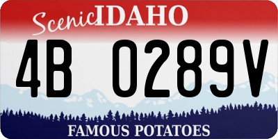 ID license plate 4B0289V