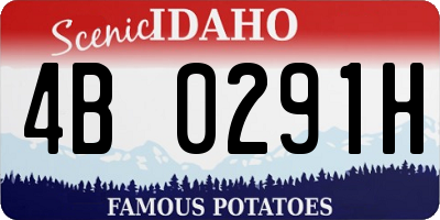 ID license plate 4B0291H