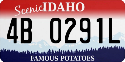 ID license plate 4B0291L