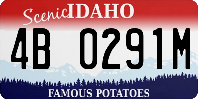 ID license plate 4B0291M