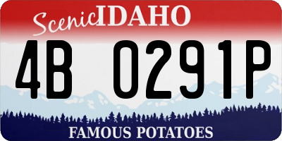 ID license plate 4B0291P