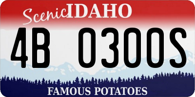 ID license plate 4B0300S