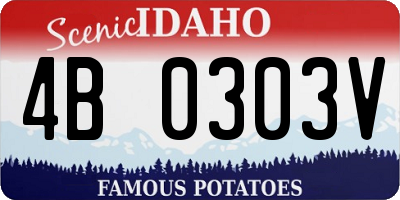 ID license plate 4B0303V