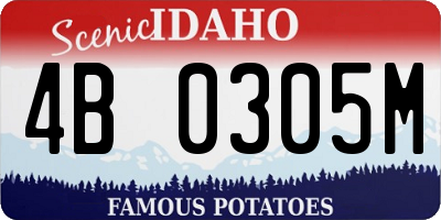 ID license plate 4B0305M