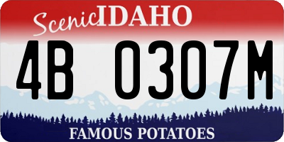 ID license plate 4B0307M