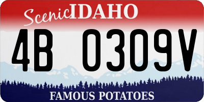 ID license plate 4B0309V