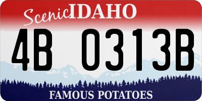 ID license plate 4B0313B