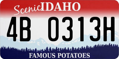 ID license plate 4B0313H