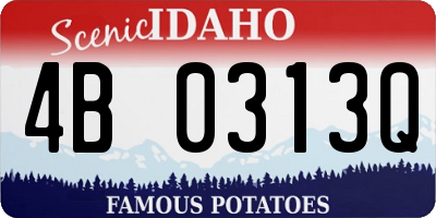 ID license plate 4B0313Q