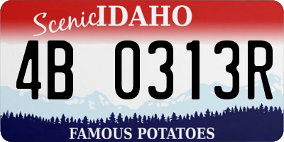 ID license plate 4B0313R