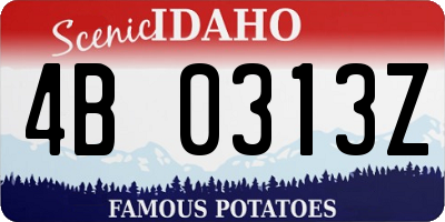 ID license plate 4B0313Z