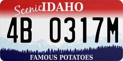 ID license plate 4B0317M