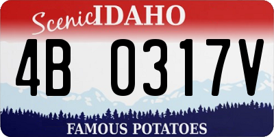 ID license plate 4B0317V