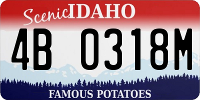 ID license plate 4B0318M