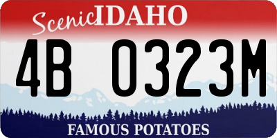 ID license plate 4B0323M