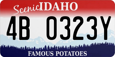 ID license plate 4B0323Y