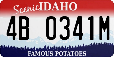 ID license plate 4B0341M
