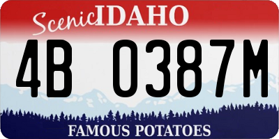 ID license plate 4B0387M