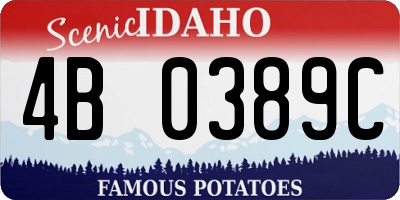 ID license plate 4B0389C