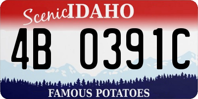 ID license plate 4B0391C