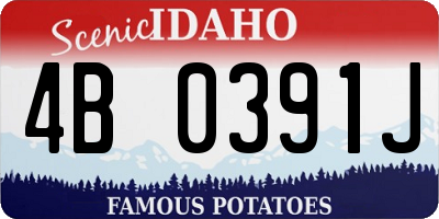 ID license plate 4B0391J