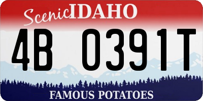 ID license plate 4B0391T