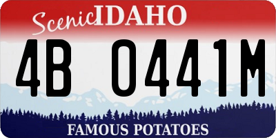 ID license plate 4B0441M