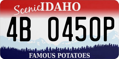 ID license plate 4B0450P