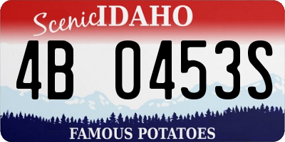 ID license plate 4B0453S