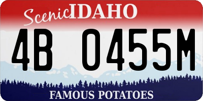 ID license plate 4B0455M