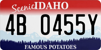ID license plate 4B0455Y