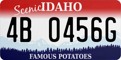 ID license plate 4B0456G